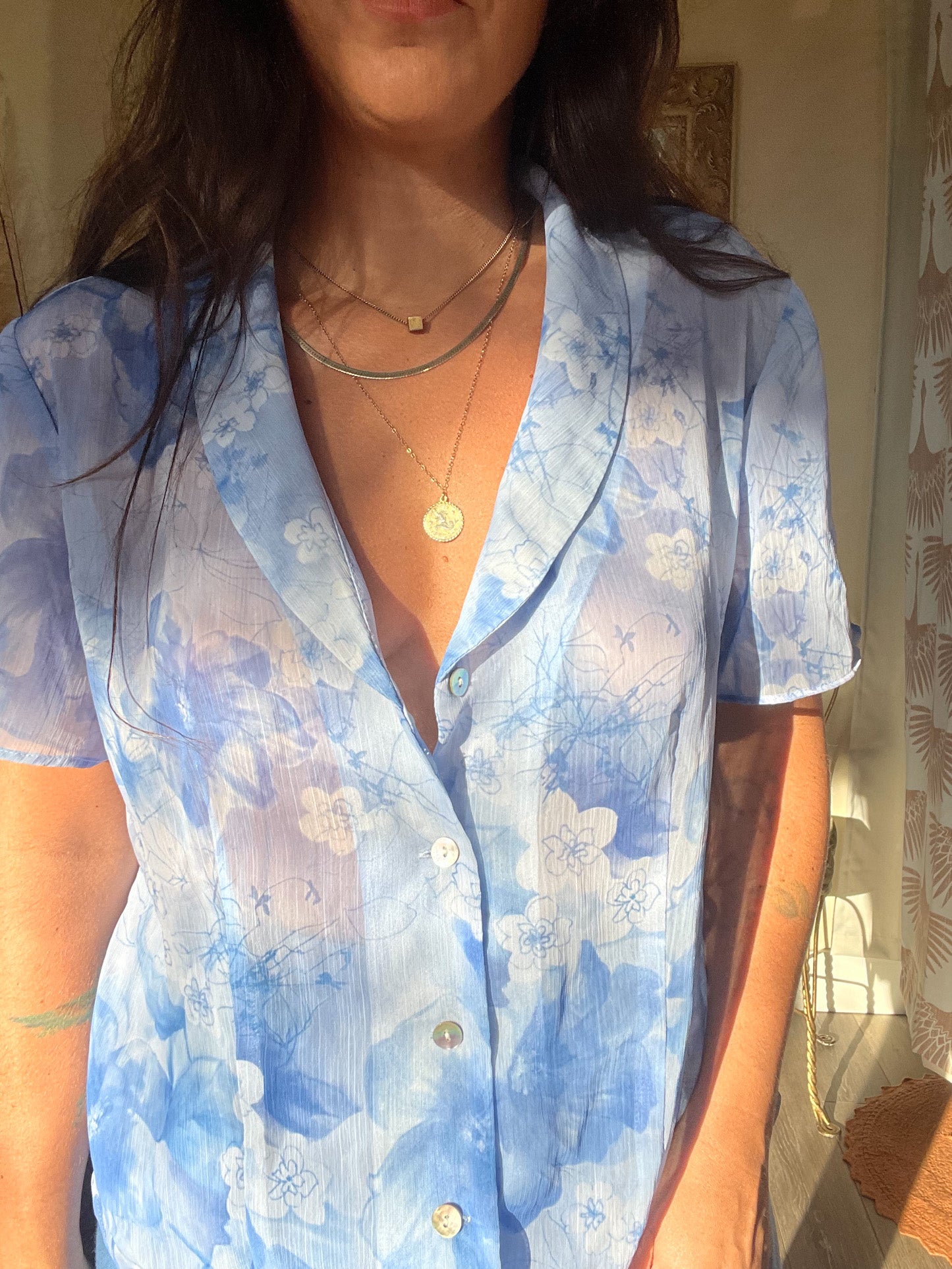 Vintage Sheer Blue Floral Blouse